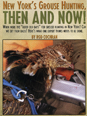 New York's Grouse Hunting article